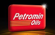 Saudi Petromin Mulls $28mn Investment in Egyptian Auto Services Market `