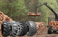 FORESTRY-A CRISIS-FREE SECTOR