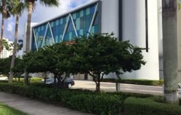 Magna Tyres Opens Office in the United States