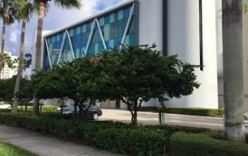 Magna Tyres Opens Office in the United States