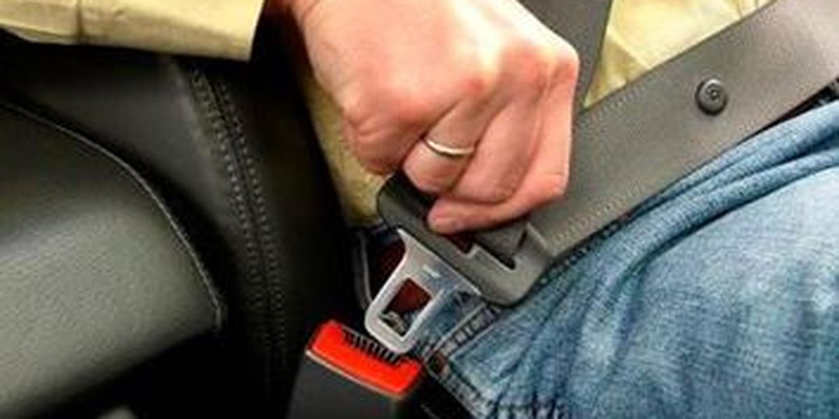 Seatbelt Usage in the UAE Improves after Implementation of Seatbelt Law