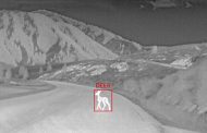 Thermal Imaging for Large Animal Detection to Help Reduce Wildlife Vehicle Collisions